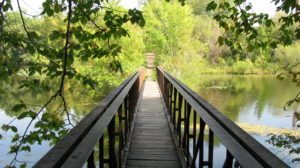 Foot Bridge