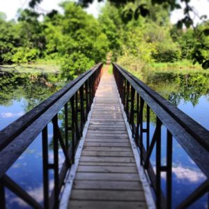 walking bridge - melissa